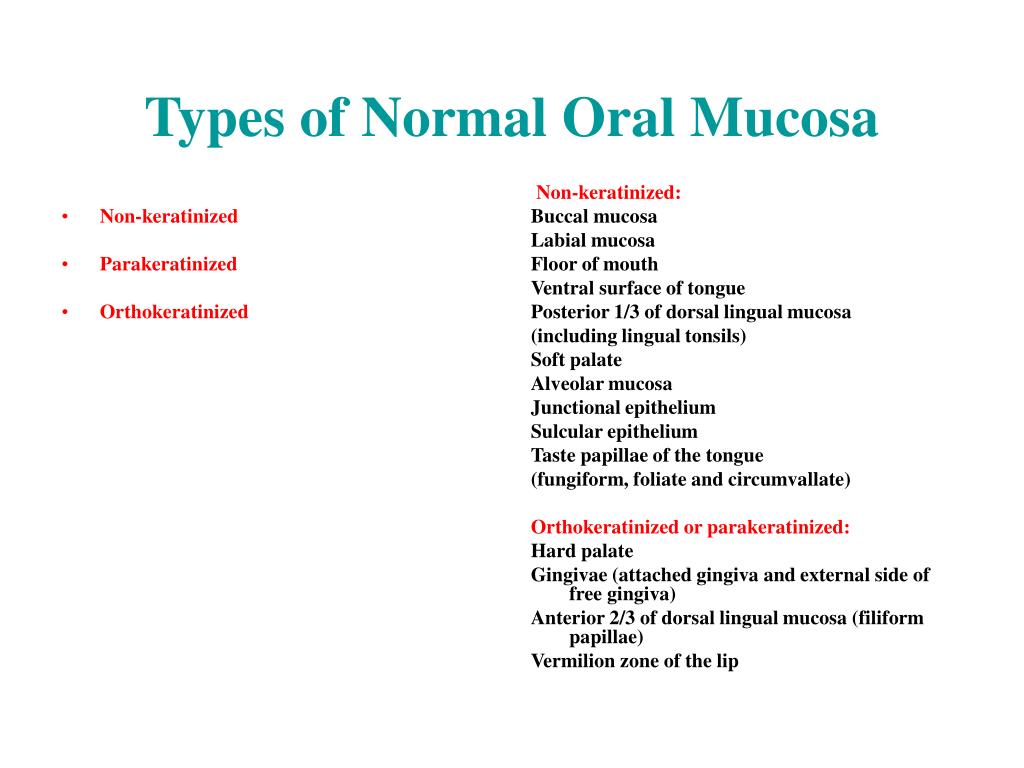 Ppt Normal Oral Mucosa Powerpoint Presentation Free Download Id