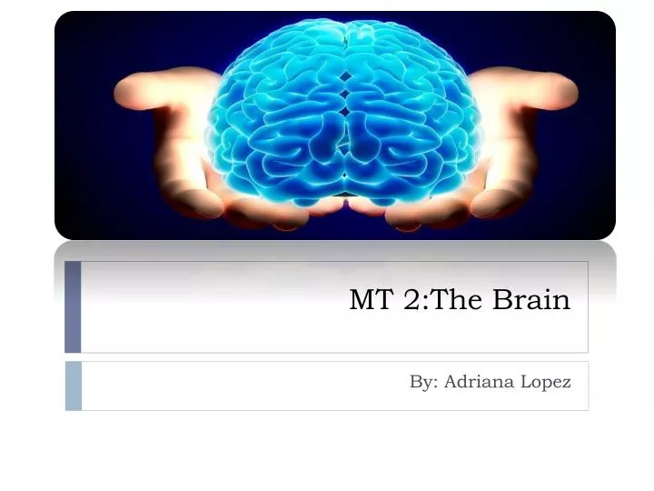 thebrain free thebrain free