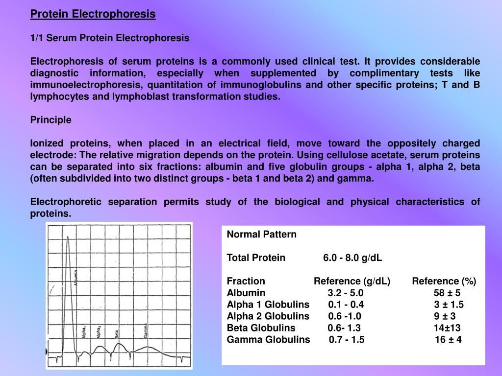 PPT Protein Electrophoresis 1/1 Serum Protein Electrophoresis