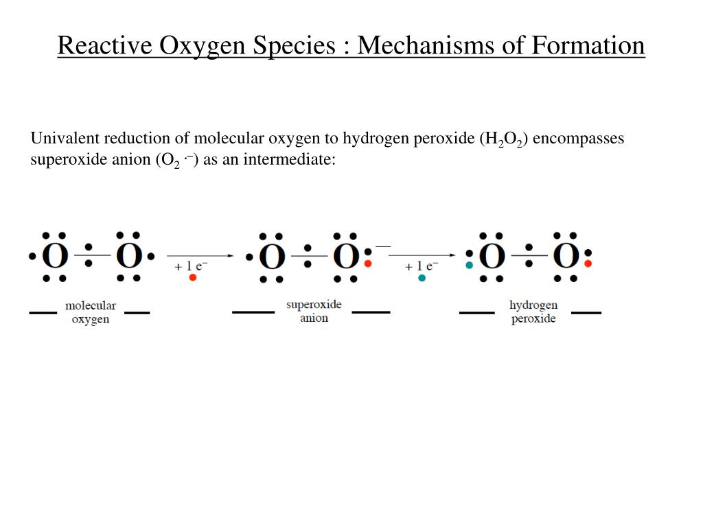 PPT Oxygen Radicals and Reactive Oxygen Species PowerPoint PPT Oxygen Radicals and Reactive Oxygen Species PowerPoint