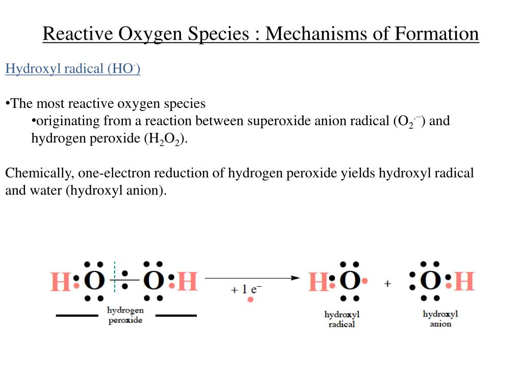 PPT Oxygen Radicals and Reactive Oxygen Species PowerPoint PPT Oxygen Radicals and Reactive Oxygen Species PowerPoint