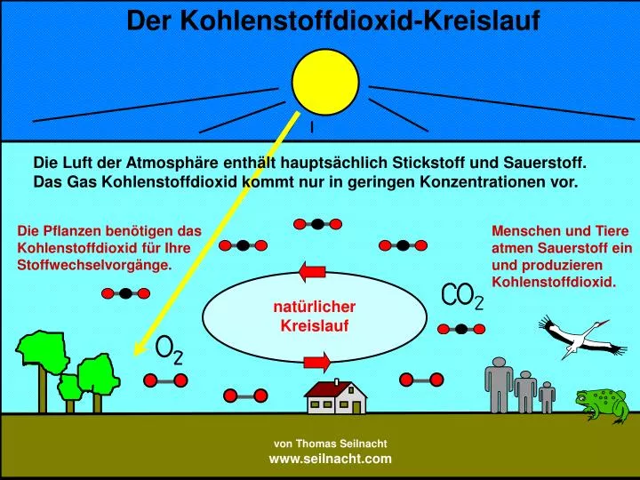 PPT - Der Kohlenstoffdioxid-Kreislauf PowerPoint Presentation, free  download - ID:2969212