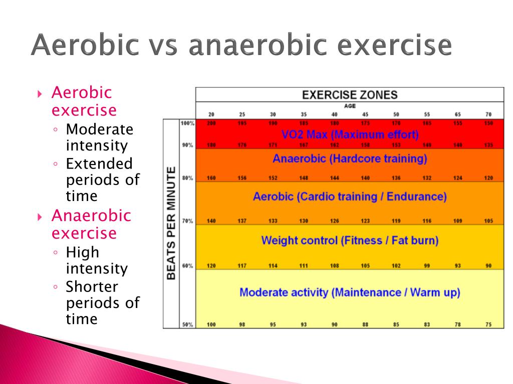 PPT Muscular System PowerPoint Presentation Free Download ID 2970849 ppt-muscular-system-powerpoint-presentation-free-download-id-2970849