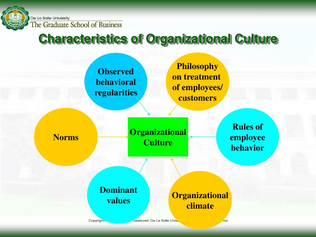 presentation about organization cultures