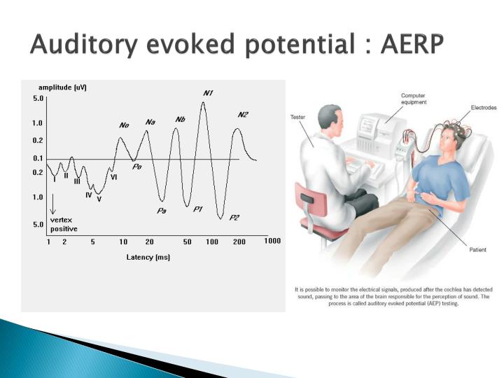 PPT - EEG Brain For Medical Investigation And Management PowerPoint ...