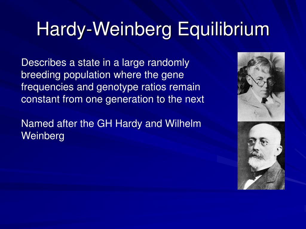 PPT - Population Genetics - Hardy Weinberg Equilibrium PowerPoint ...