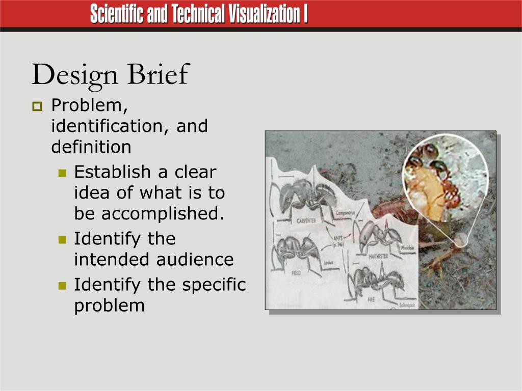 PPT - Steps of a Design Brief PowerPoint Presentation, free ...