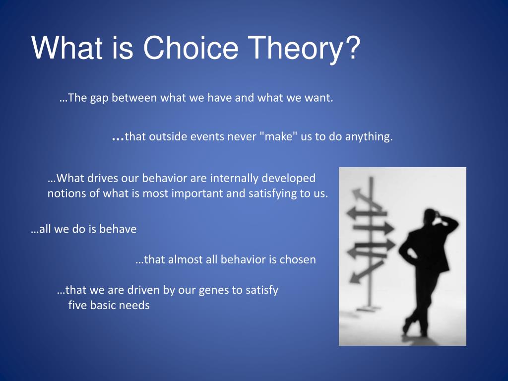 choice theory literature review