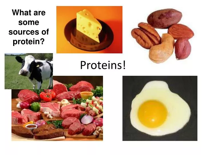 ppt-proteins-powerpoint-presentation-free-download-id-2973187