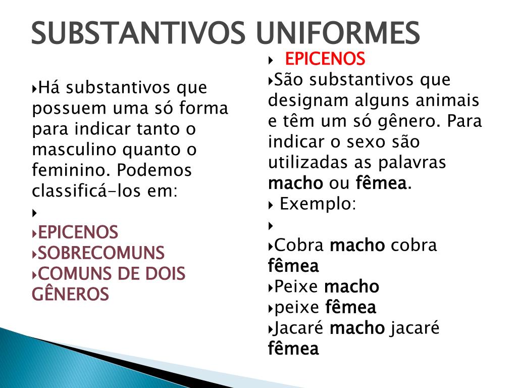 PPT - SUBSTANTIVOS PowerPoint Presentation, free download - ID:2973428