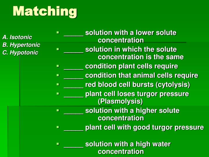 PPT - Cell Membrane and Tonicity Worksheet PowerPoint Presentation - ID