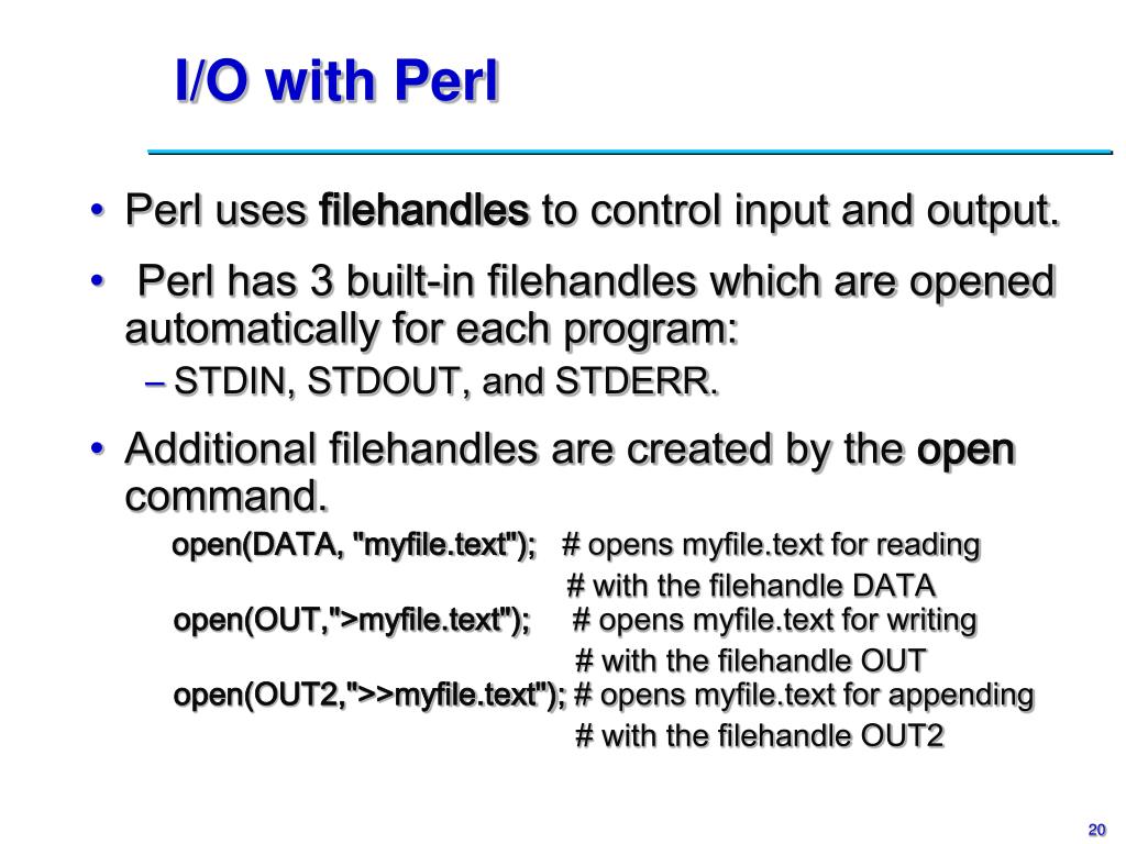 perl programming language perl programming language