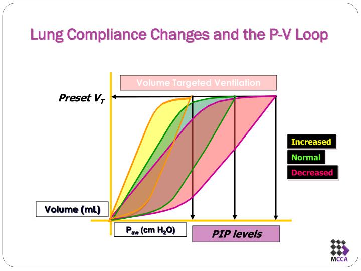 PPT Advanced Pulmonary Mechanics during Mechanical Ventilation