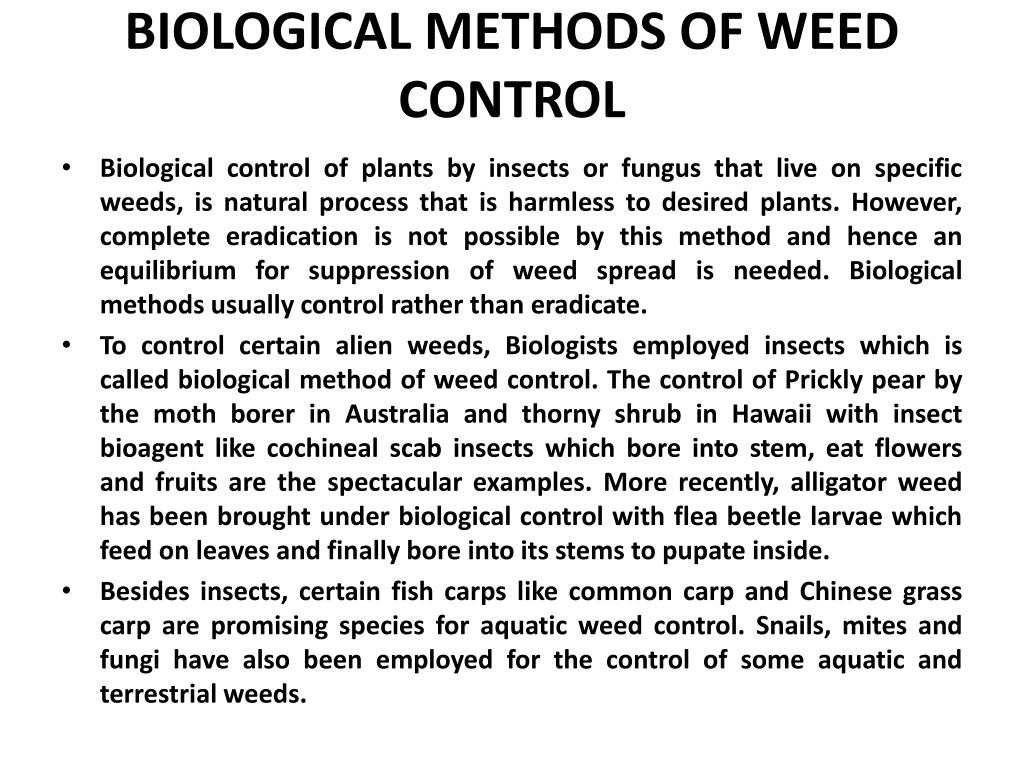 PPT PRINCIPLES OF CROP PRODUCTION ABT 320 3 CREDIT HOURS PowerPoint ppt-principles-of-crop-production-abt-320-3-credit-hours-powerpoint