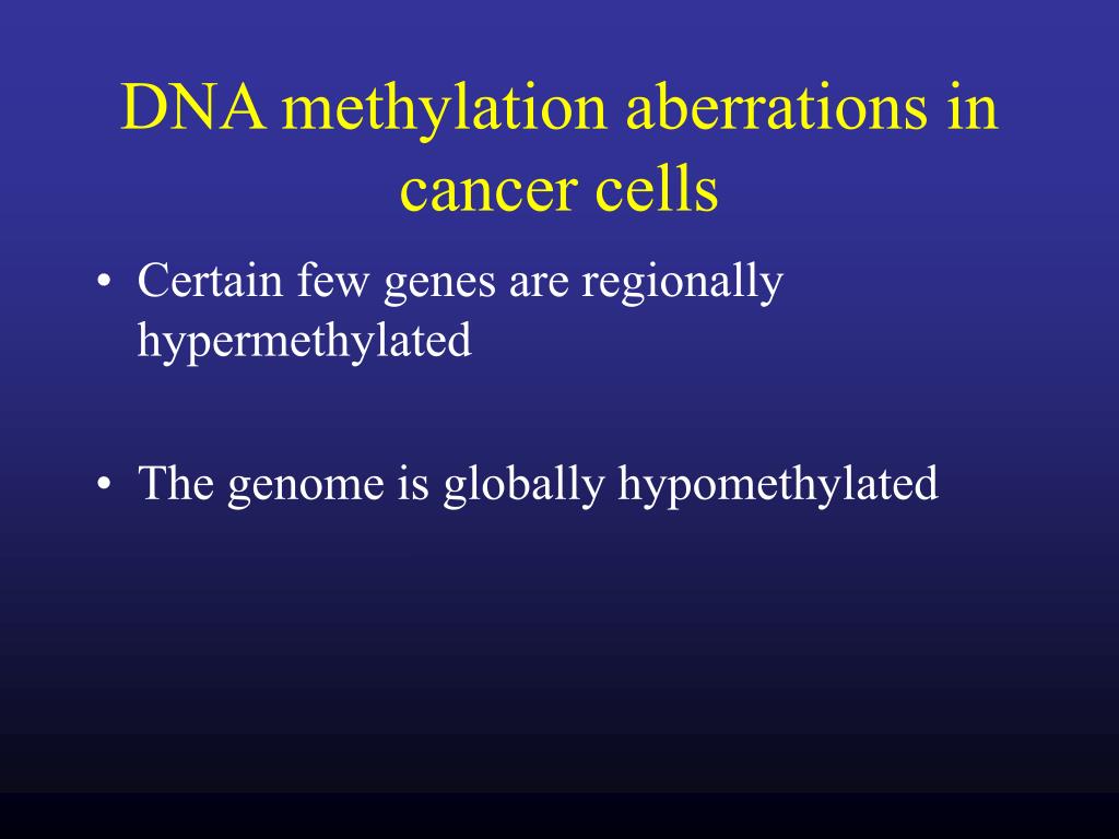 PPT - The bilateral interrelationship between chromatin and DNA ...