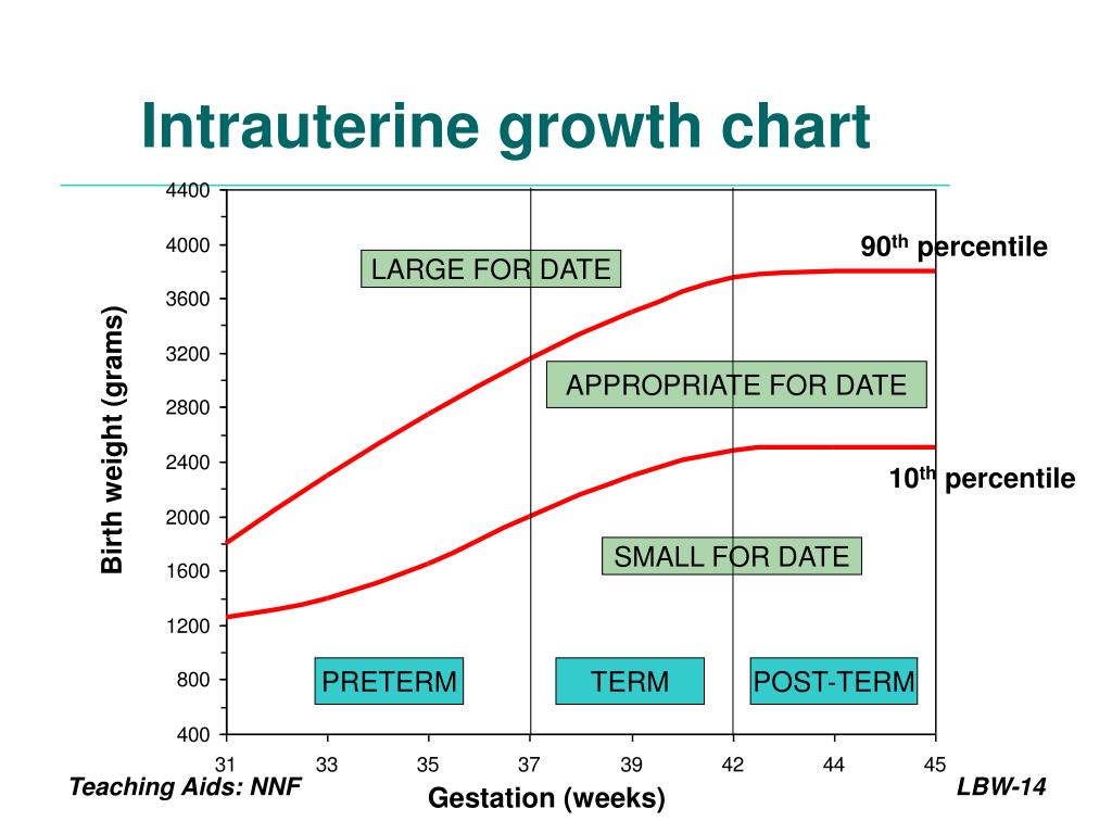 Intrauterine Growth Charts Indian