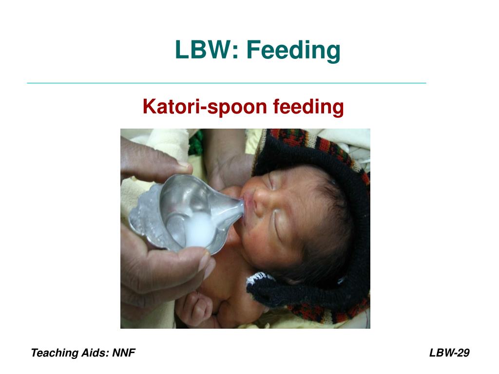 PPT Management of Low Birth Weight Babies PowerPoint Presentation, free download ID2975442