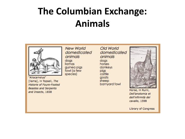 PPT The Columbian Exchange PowerPoint Presentation ID2976245