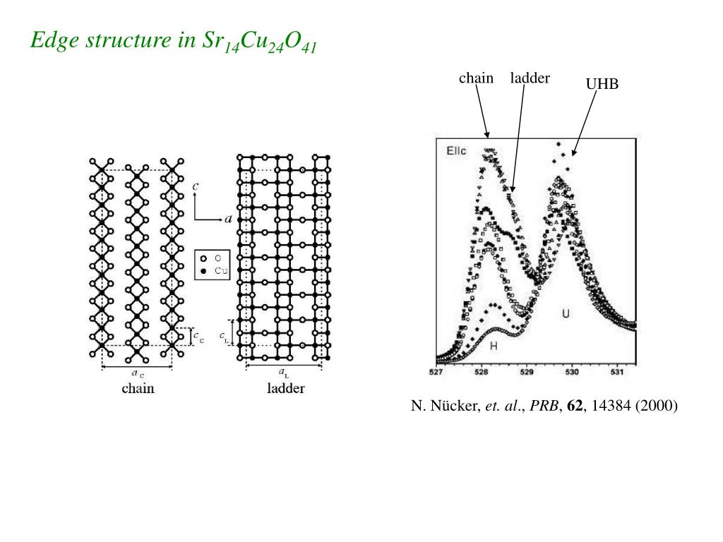 PPT - Crystallization of holes in the spin ladder of Sr 14 Cu 24 O 41 ...