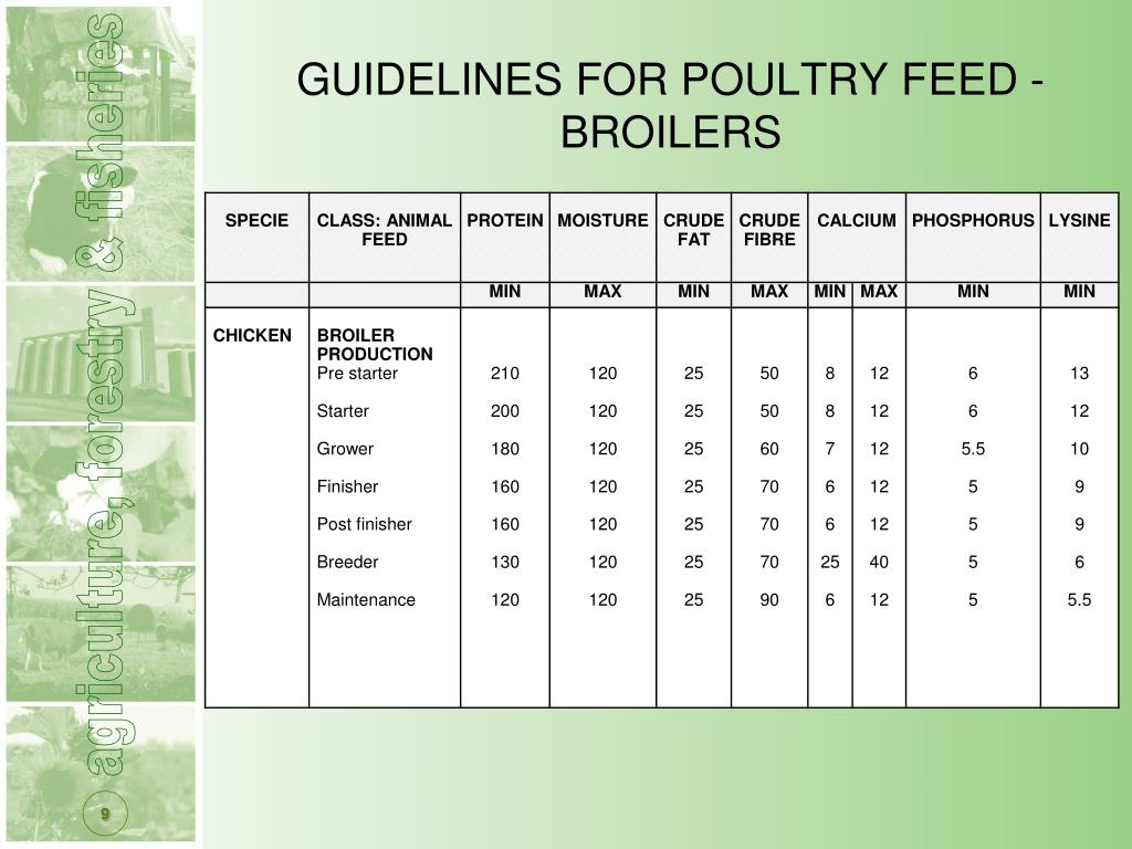 PPT REGISTRATION OF MONOGASTRIC ANIMAL FEED PowerPoint Presentation