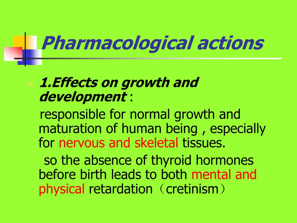 PPT Thyroid hormones and antithyroid drugs PowerPoint Presentation