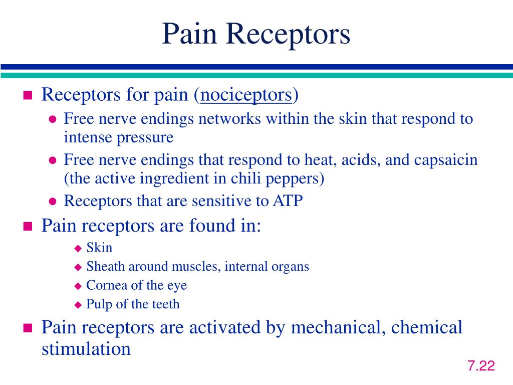 PPT 7 Audition, the Body Senses, and the Chemical Senses PowerPoint