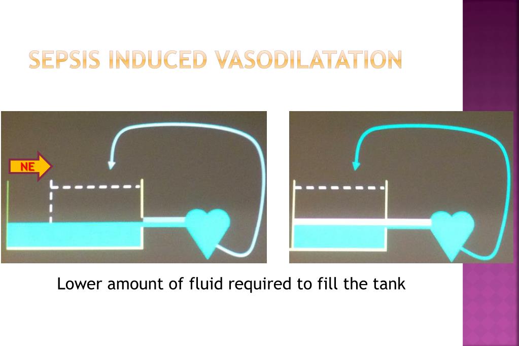 PPT Early Goal Therapy in Severe Sepsis & Septic Shock PowerPoint