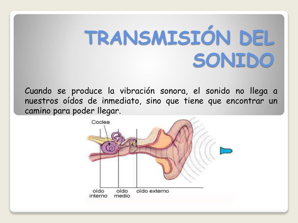 Momento Imaginativo Recuerdo PPT - TRANSMISIÓN DEL SONIDO PowerPoint Presentation - ID:2977558