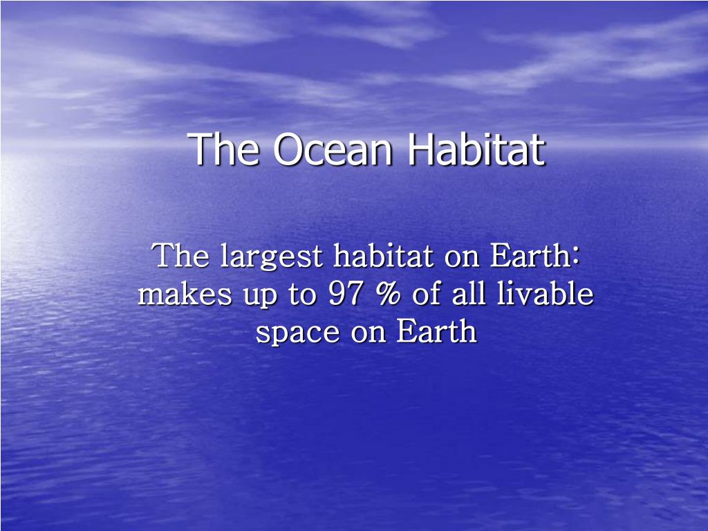 Ppt The Ocean Habitat Powerpoint Presentation Free Download Id Ppt The Ocean Habitat Powerpoint Presentation Free Download Id