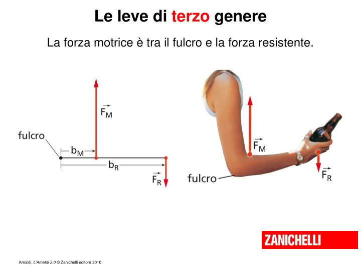 PPT - Capitolo 5 L’equilibrio dei solidi PowerPoint Presentation - ID