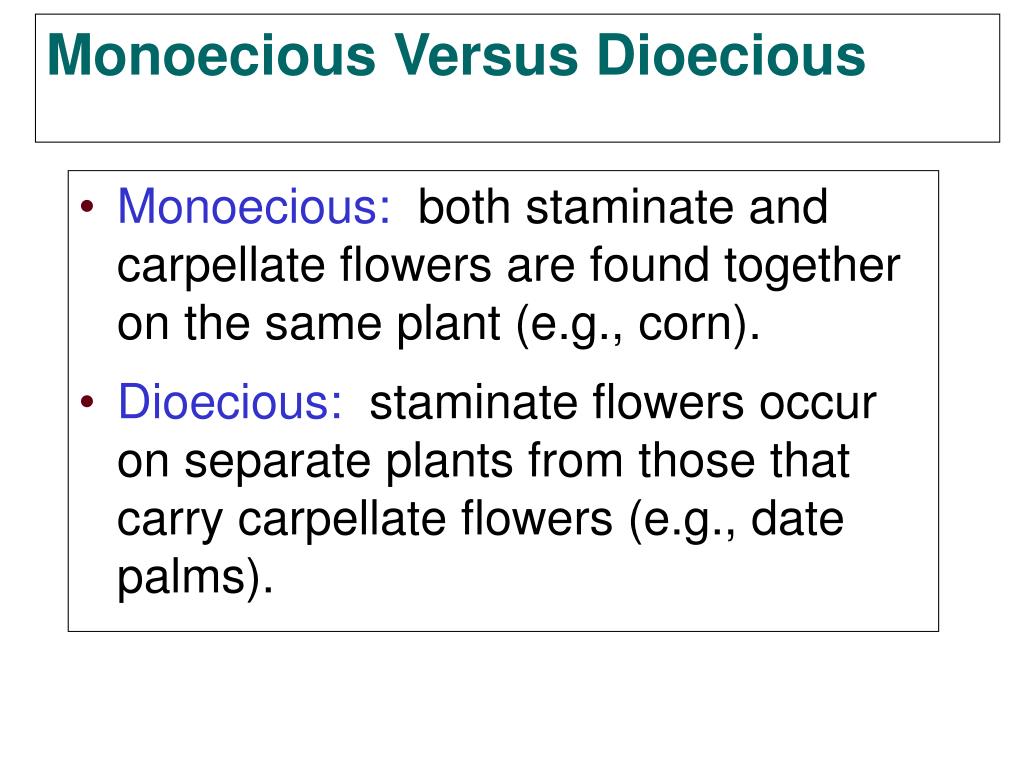 PPT CHAPTER 38 PLANT REPRODUCTION PowerPoint Presentation, free