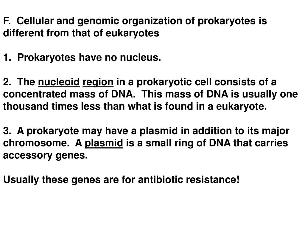 PPT - Chapter 27 Prokaryotes and the Origins of Metabolic Diversity ...