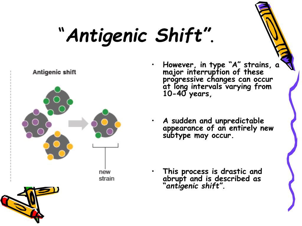 antigenic shift antigenic shift