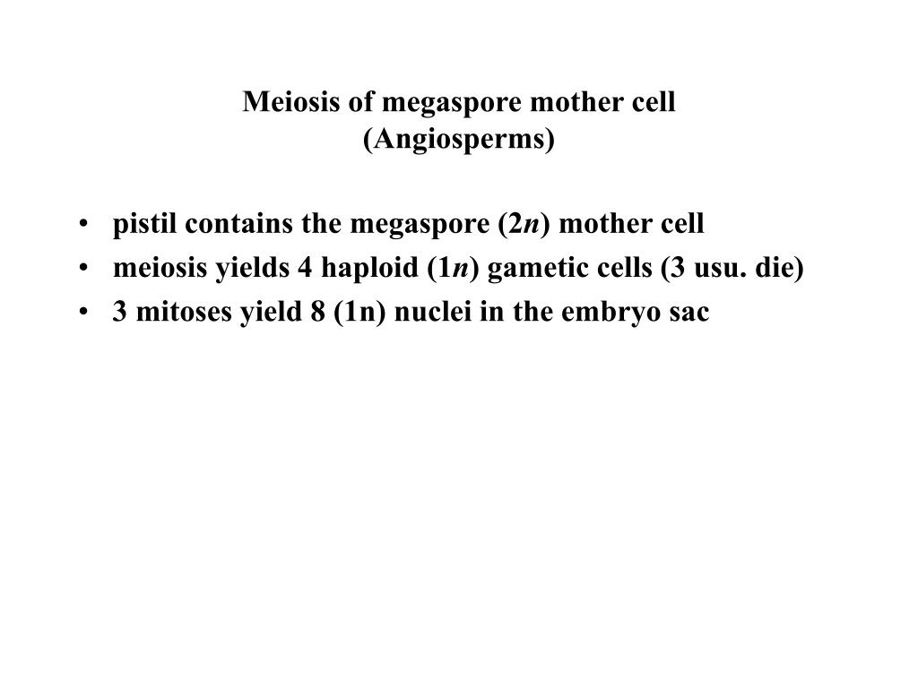 polyembryony in angiosperms