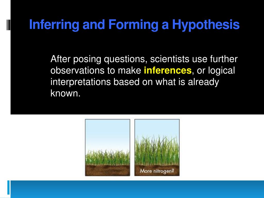 example of inferring and forming a hypothesis