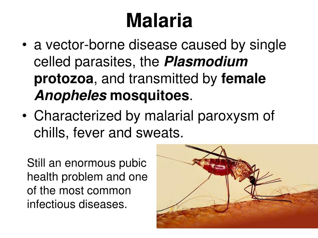 typical presentation of malaria