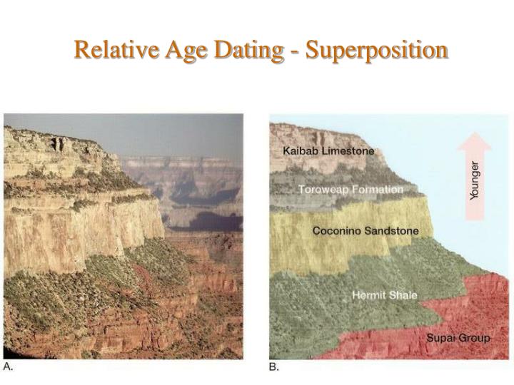 Faunal assemblage dating