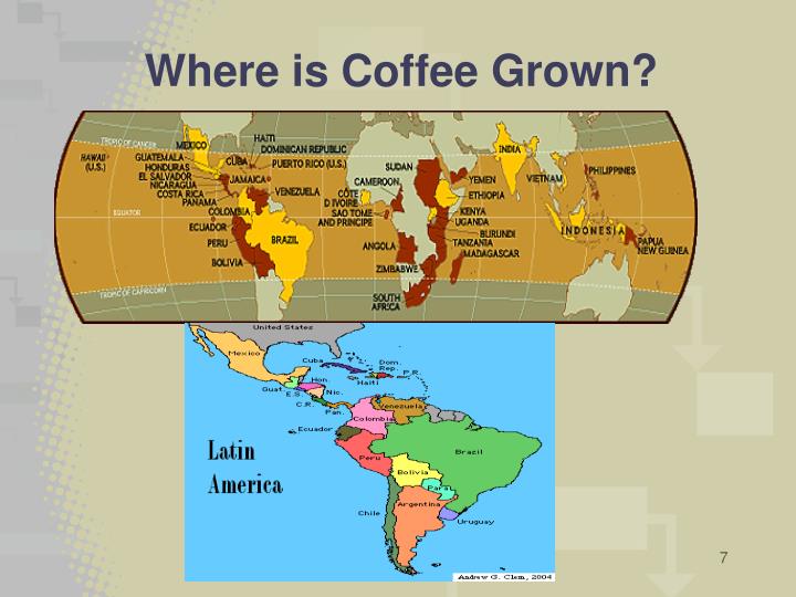 PPT History of Coffee PowerPoint Presentation ID2980226
