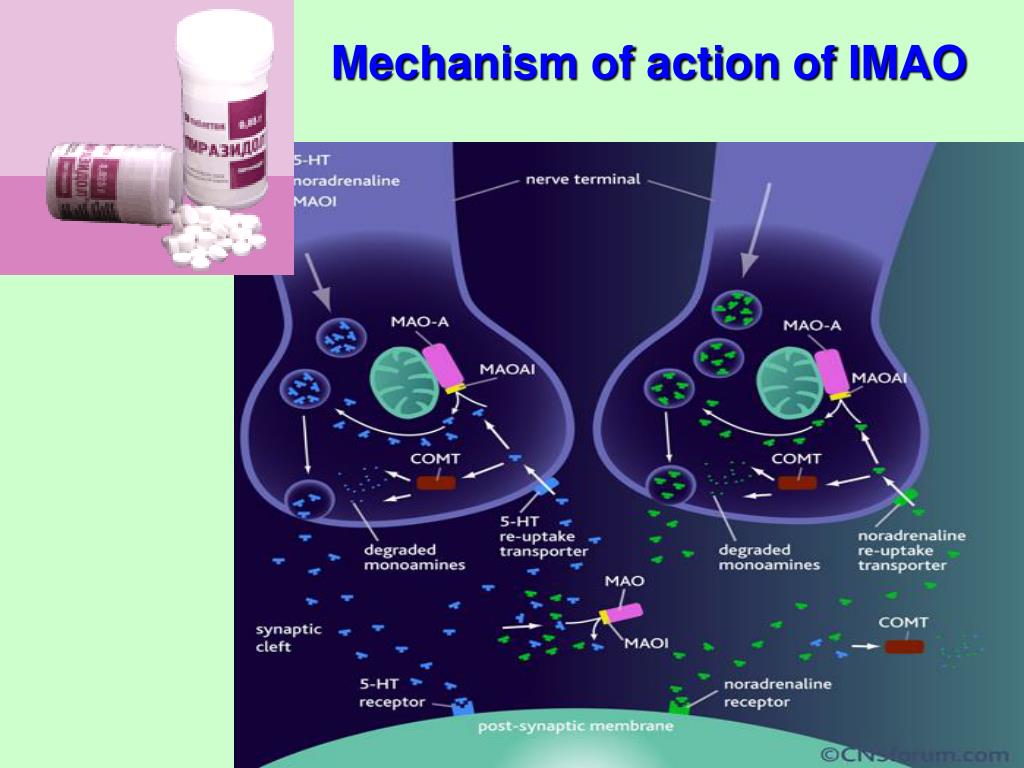 Ингибиторы моноаминоксидазы препараты