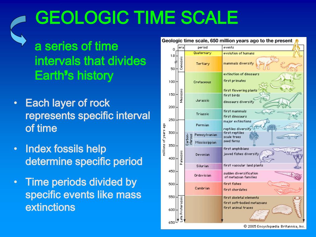 fossils and relative dating ppt fossils and relative dating ppt
