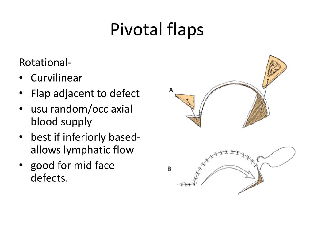 Ppt Cummings Chap 24 Reconstruction Of Facial Defects Powerpoint