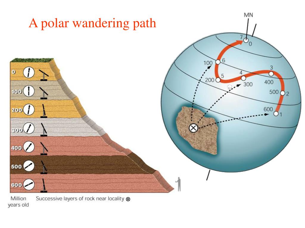 polar wandering easy definition
