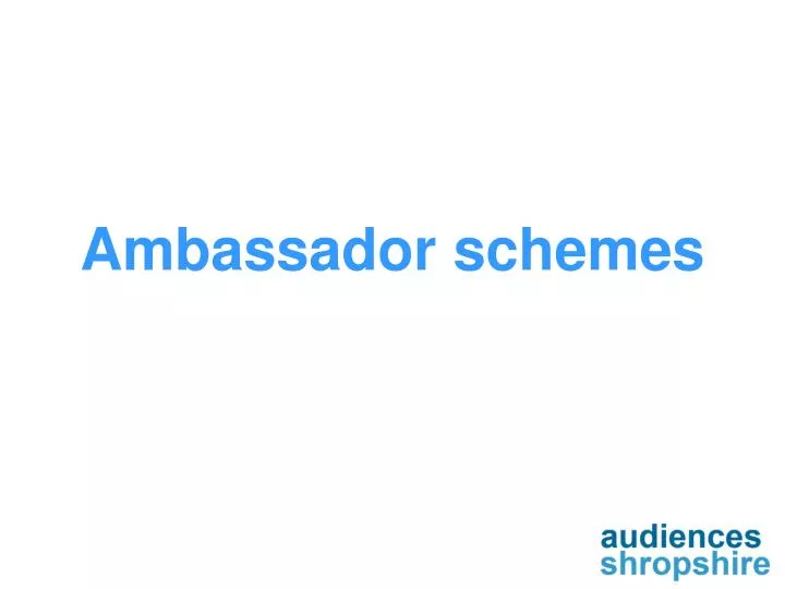 ambassador schemes n.