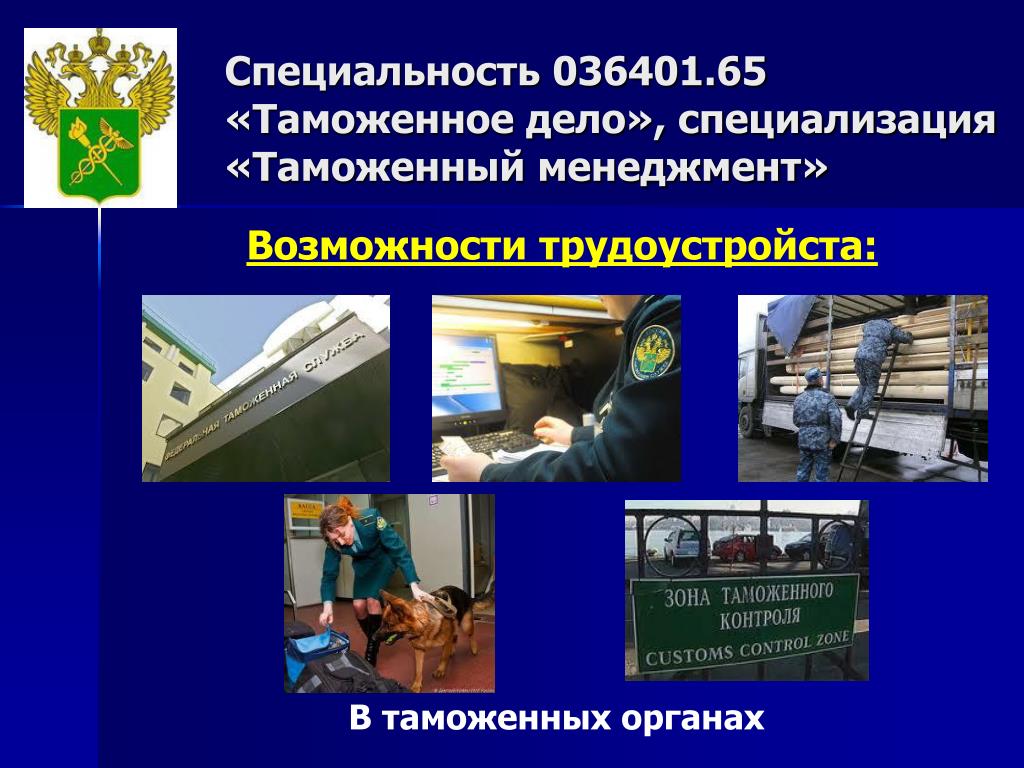 Специальности в органах. Специализация в таможенном деле. Таможенное дело специальность. Таможенное дело профессия. Презентация на тему таможенное дело.