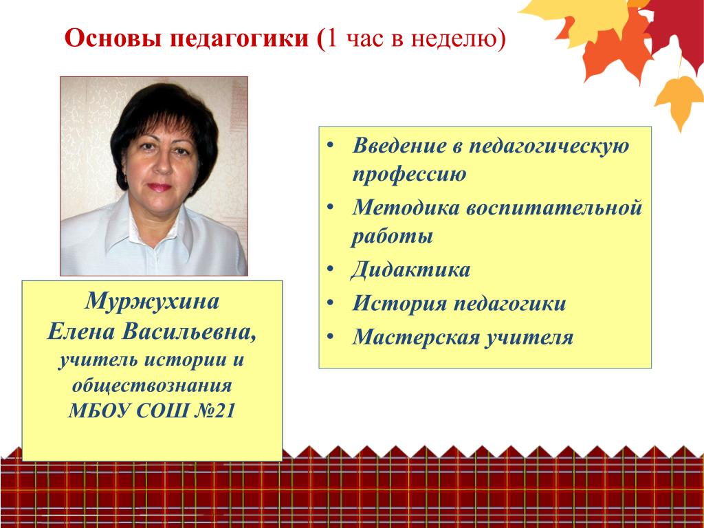 Сетевое образование 44 шарья. Введение в профессию педагога. Елена Васильевна учитель. Методы работы учителя обществознания. Профессия учитель истории и обществознания.