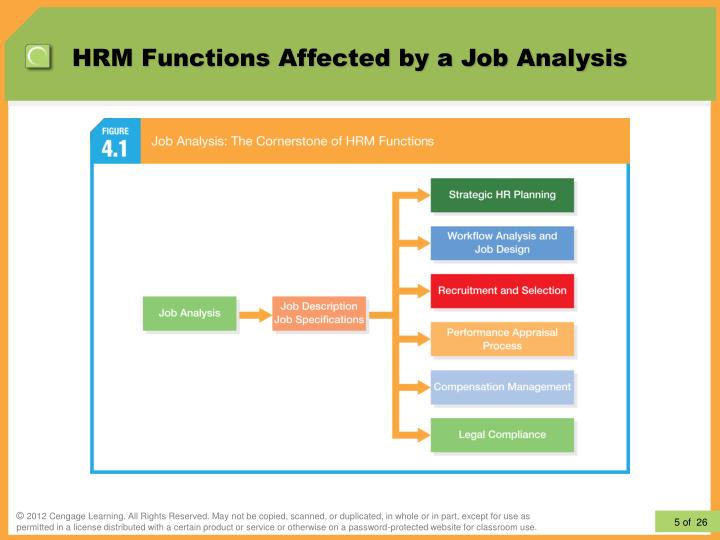 job analysis is the most basic function of human resource management job analysis is the most basic function of human resource management