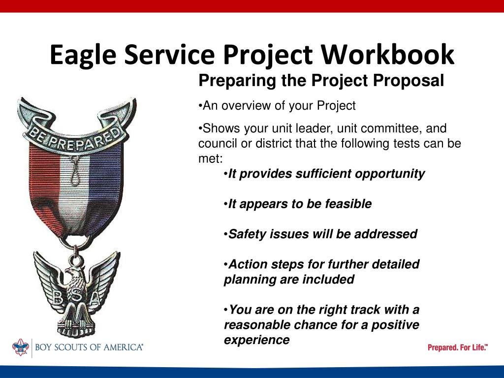 PPT Eagle Service Project Workbook PowerPoint Presentation, free