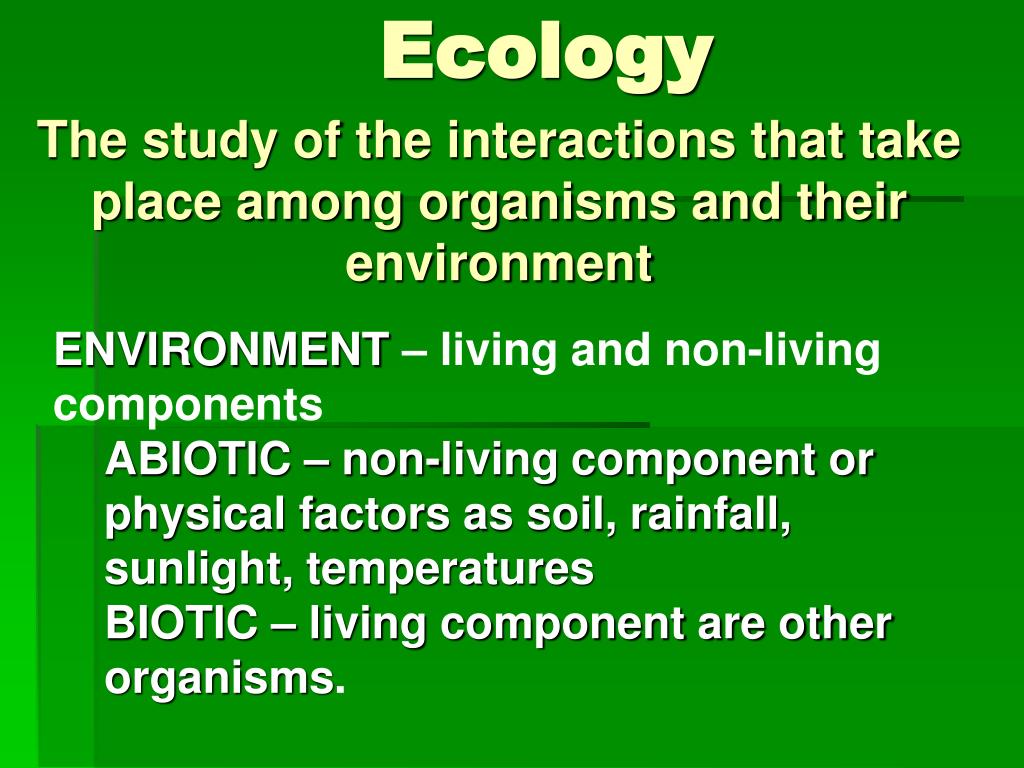 Презентация экология английский. Environment презентация. Ecology презентация на английском. Ecology is the study of interactions. International Environmental Organizations.