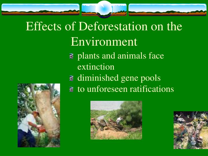 hazards of deforestation Free essays on hazards of deforestation get help with your writing 1 through 30. hazards of deforestation Free essays on hazards of deforestation get help with your writing 1 through 30.