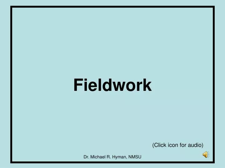 fieldwork n.